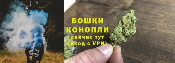 сатива Богданович