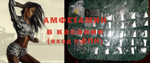 сатива Богданович